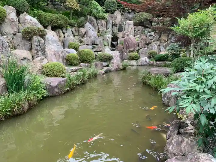 宝徳寺(群馬県)
