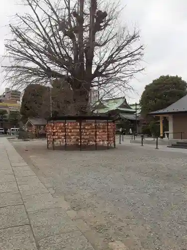 今戸神社(東京都)