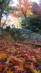 浄住寺(京都府)