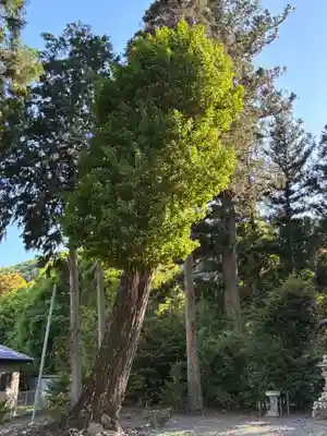 鹿嶋神社(茨城県)