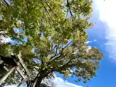 白鳥神社(長野県)