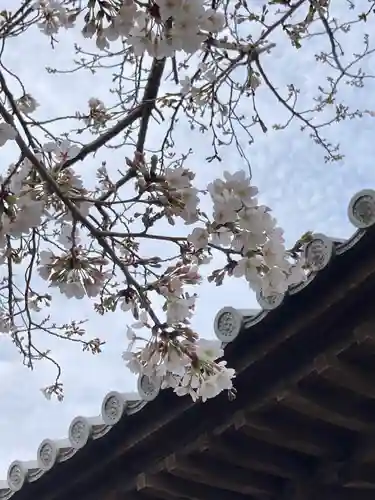 高家寺の本殿・本堂