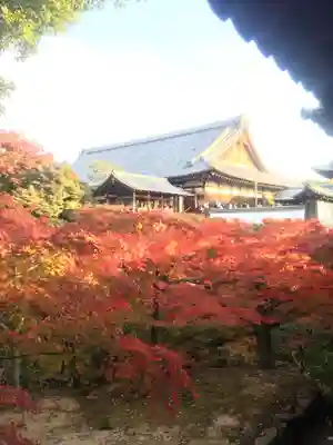 東福禅寺(東福寺)(京都府)