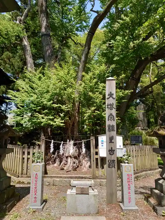 小室浅間神社の自然