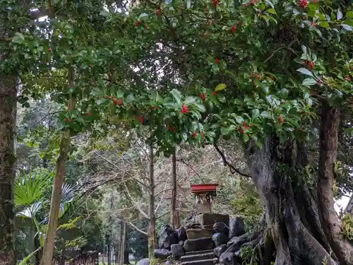 伊多波刀神社(愛知県)