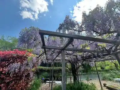 天台宗 五大山 白毫寺(兵庫県)