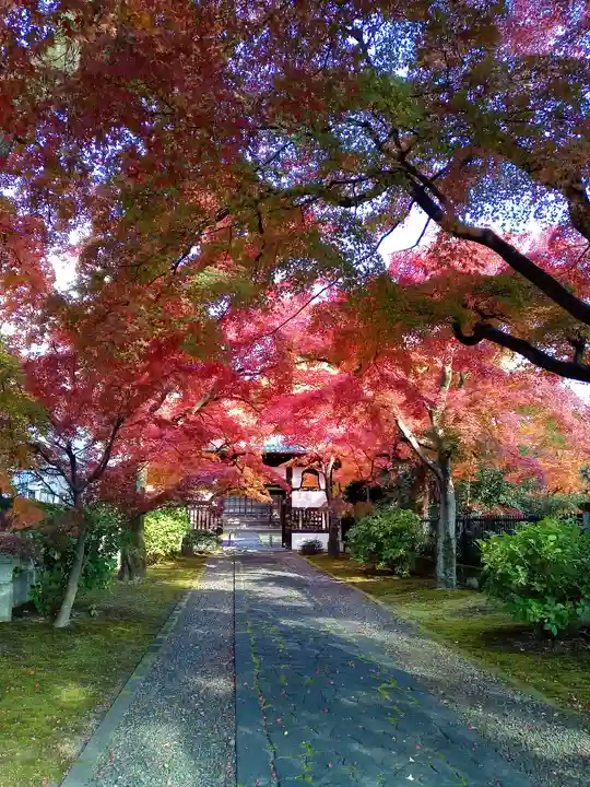 正樂寺(宮城県)