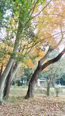 雨引千勝神社(茨城県)