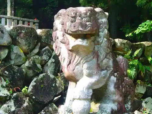 神明神社の狛犬