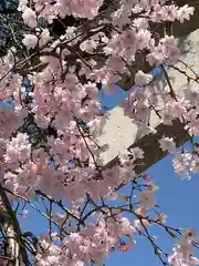 三輪恵比須神社(奈良県)