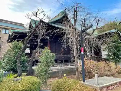 桜神宮(東京都)