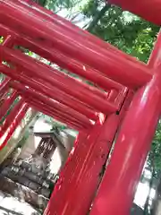 鎮守氷川神社(埼玉県)