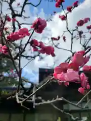 大井神社の自然