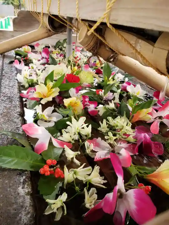 鳩森八幡神社の手水舎