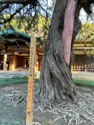 円覚寺(神奈川県)