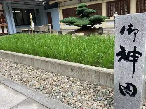 愛知縣護國神社の庭園