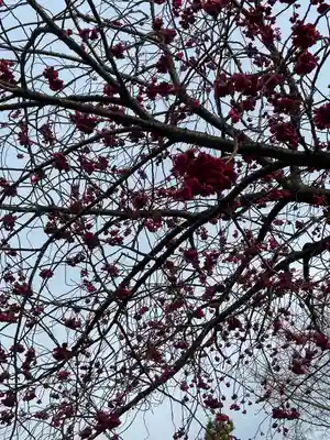 常泉寺(神奈川県)