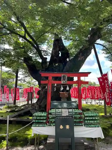 秩父今宮神社(埼玉県)