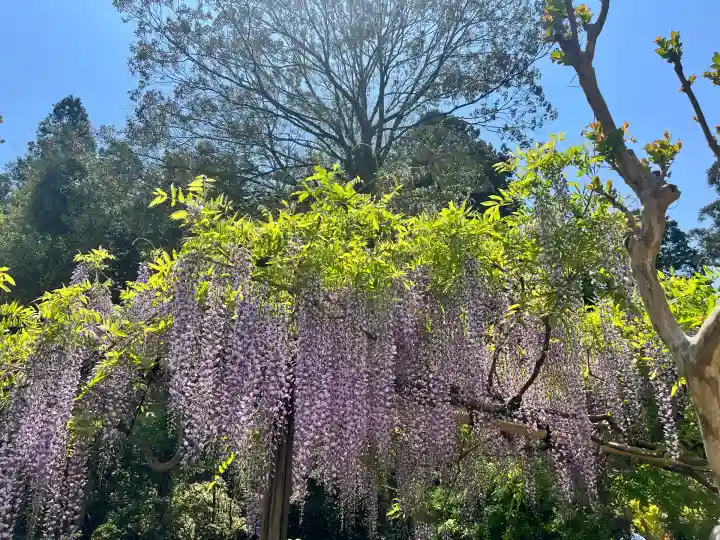 歌泉堂(春日大社神苑萬葉植物園内鎮座)(奈良県)