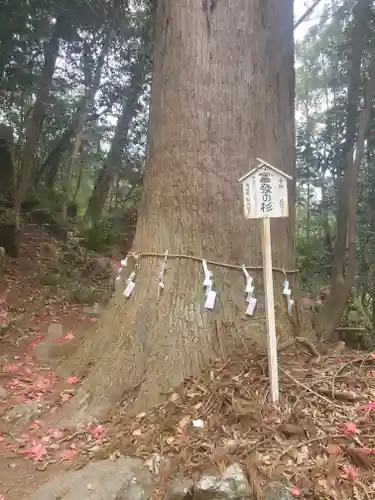 姥宮神社のその他建物