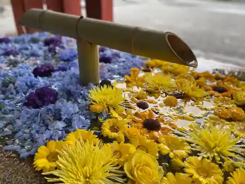 鶴岡八幡宮の手水舎