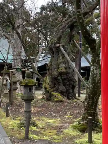 蠶養國神社のその他建物