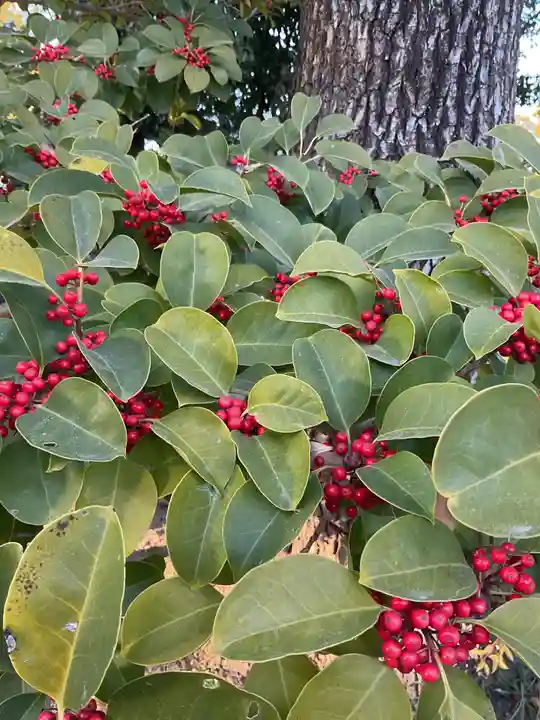甚目寺(愛知県)
