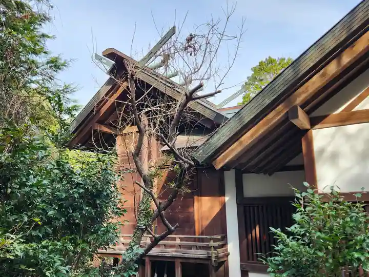 素盞雄神社(兵庫県)
