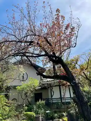 本行寺(東京都)