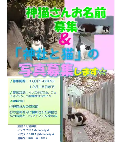 七宮神社(兵庫県)