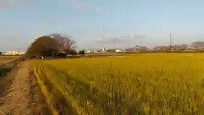 相野谷八幡神社の周辺