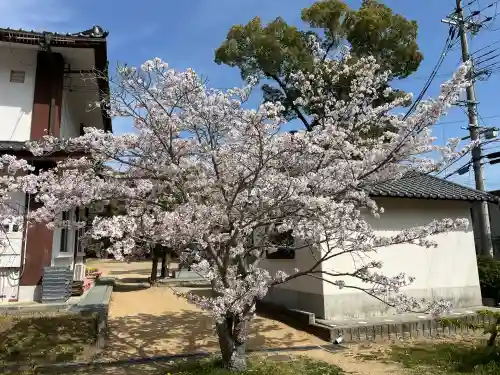 伊川谷惣社(兵庫県)
