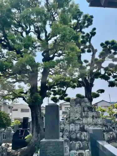長円寺(静岡県)