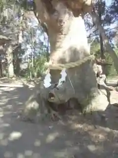 中村八幡宮のその他建物