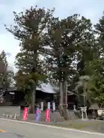 高司神社〜むすびの神の鎮まる社〜(福島県)