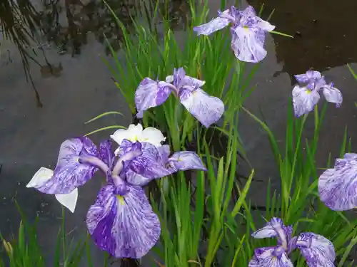 天台宗　長窪山　正覚寺の自然