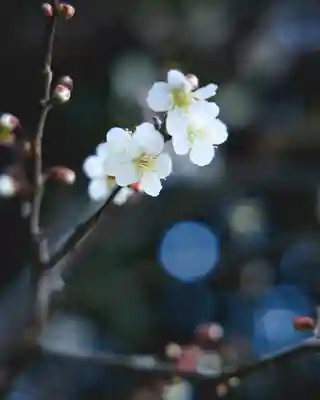 不動院（東光寺）(茨城県)