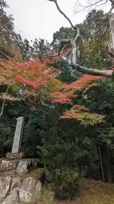 矢田天満宮(京都府)