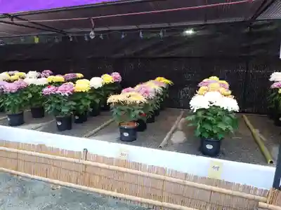 宗像大社(福岡県)