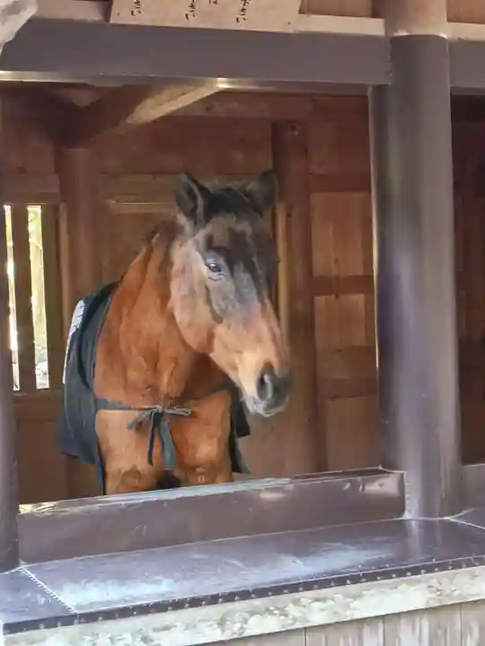 伊勢神宮内宮(皇大神宮)(三重県)