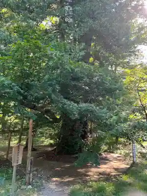 伊佐須美神社(福島県)