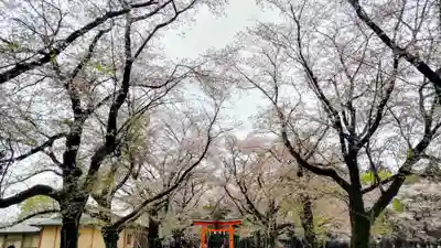 東蕗田天満社(茨城県)