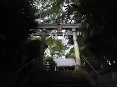 氷川神社の鳥居