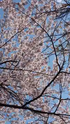 相馬神社(北海道)