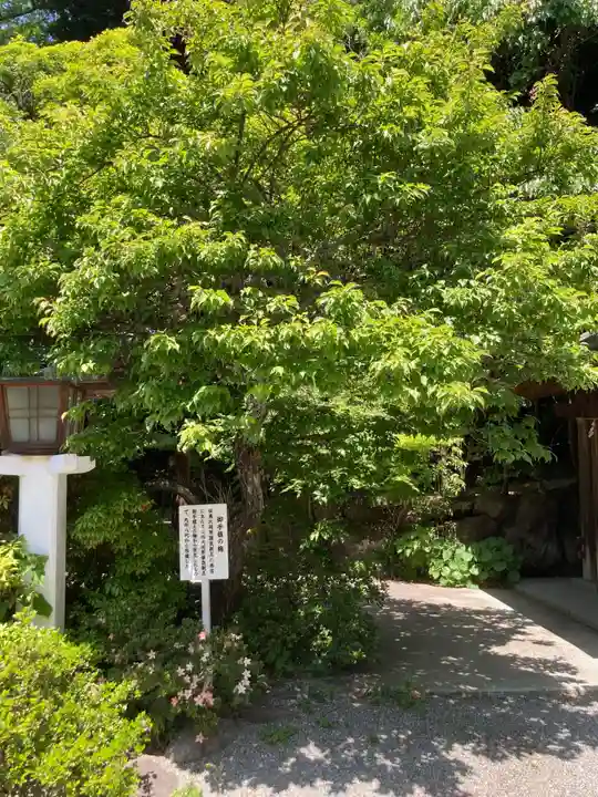 鎌倉宮(神奈川県)