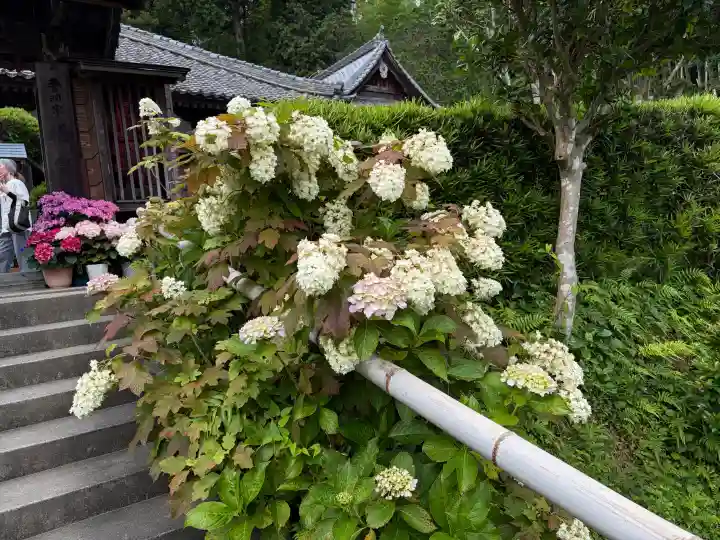 極楽寺(静岡県)