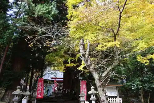 磐椅神社の景色