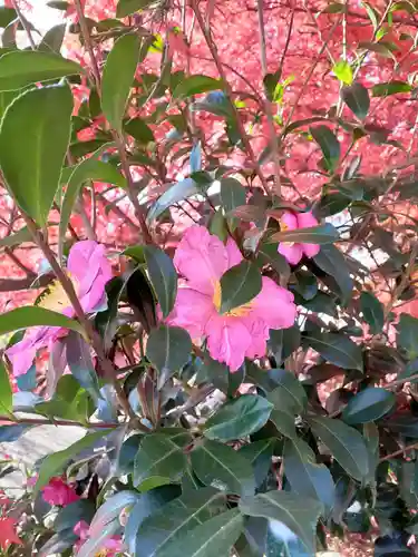 館腰神社(宮城県)