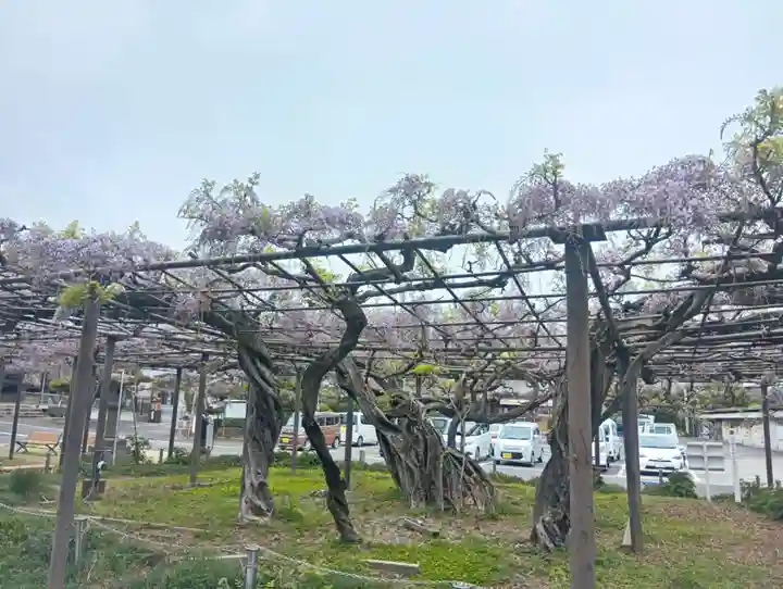竹鼻別院(岐阜県)
