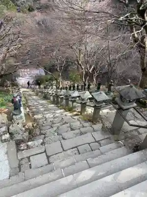 大山寺の{uncategorized: "未分類", other: "その他", undefined: "問題あり", building: "その他建物", grave: "お墓", sacred_gate: "鳥居", guardian: "狛犬", statue: "像", buddha: "仏像", history: "歴史", nature: "自然", garden: "庭園", animal: "動物", pagoda: "塔", temizu: "手水舎", mountain_gate: "山門・神門", sanctuary: "本殿・本堂", subordinate: "末社・摂社", art: "芸術", scenery: "景色", jizo: "地蔵", ema: "絵馬", goshuin: "御朱印", omikuji: "おみくじ", items: "授与品その他", amulet: "お守り", goshuincho: "御朱印帳", eats: "食事", festival: "お祭り", votive_dance: "神楽", shichigosan: "七五三参", wedding: "結婚式", experience: "体験その他", initially: "初詣", around: "周辺", anti_infection: "感染症対策"}